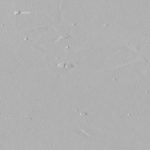 Borma Shabby Szürke krétafesték 0,375l  - 101